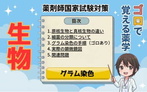 【薬剤師国家試験】グラム染色の手順とゴロ！陽性・陰性の違いと細菌の覚え方（ゴロで覚える薬学）