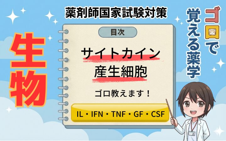 【薬剤師国家試験】サイトカイン産生細胞のゴロ教えます！（ゴロで覚える薬学）
