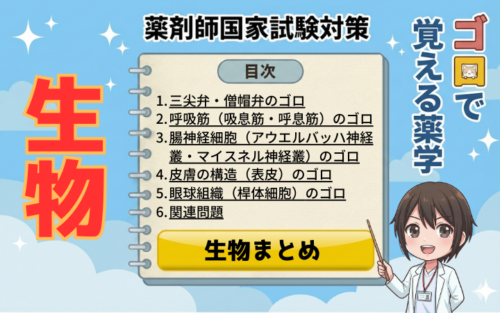 【薬剤師国家試験】三尖弁・僧帽弁・呼吸筋・腸神経細胞（アウエルバッハ神経叢・マイスネル神経叢）・皮膚の覚え方！（ゴロで覚える薬学）