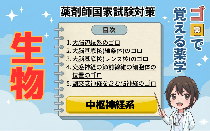 【薬剤師国家試験】バセドウ病と橋本病の違い・覚え方！どっちがどっち？を解決