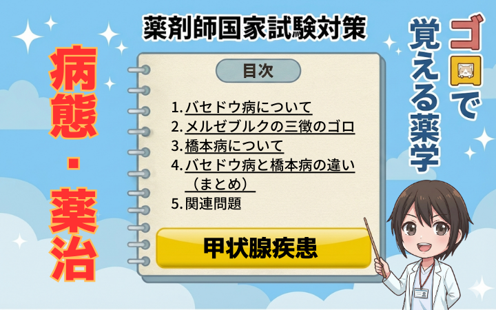 【薬剤師国家試験】バセドウ病と橋本病の違い・覚え方！どっちがどっち？を解決