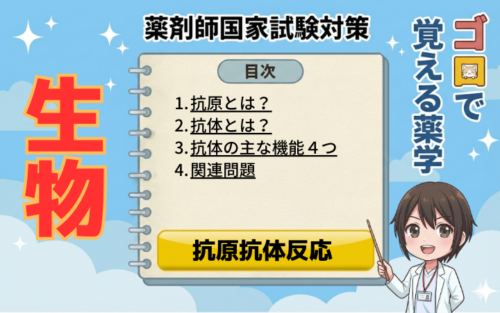 【薬剤師国家試験】抗原と抗体の違いは?免疫学の基本を解説!4つの機能とIgG・IgMの役割【生物】