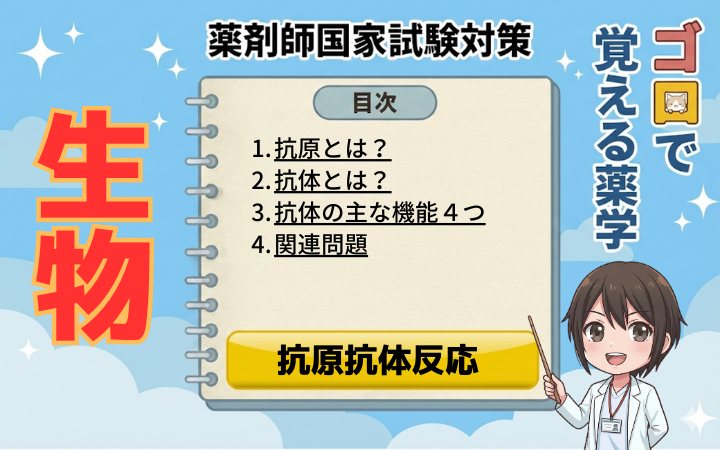 【薬剤師国家試験】抗原と抗体の違いは？免疫学の基本を解説！4つの機能とIgG・IgMの役割【生物】