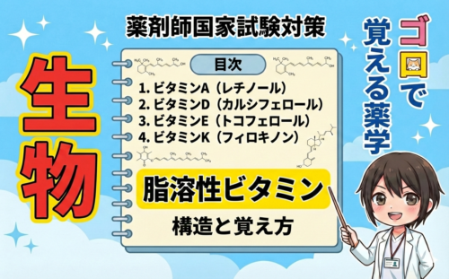 【薬剤師国家試験】脂溶性ビタミン構造まで含めて覚え方を解説します！（ゴロで覚える薬学）