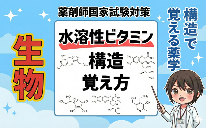【薬剤師国家試験】水溶性ビタミンの構造の覚え方を解説！（構造で覚える薬学）