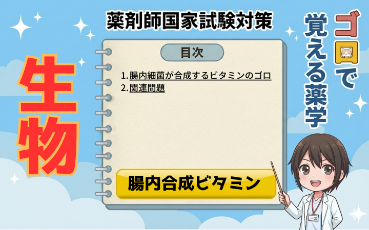 【薬剤師国家試験】腸内細菌が合成するビタミンはコレ！最強のゴロで完全攻略（ゴロで覚える薬学）