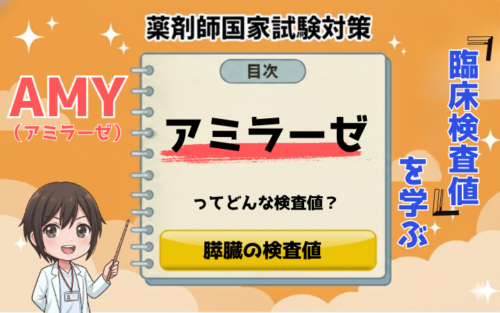 【臨床検査値】アミラーゼ(AMY)が高い原因は?基準値やP型・S型の違いを薬剤師が徹底解説