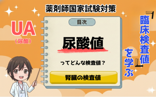 【臨床検査値】健康診断で尿酸値(UA)が高いと言われたら?基準値と痛風を防ぐ対策を薬剤師が解説
