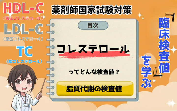 【臨床検査値】コレステロールの基準値は？LDL（悪玉）とHDL（善玉）の違いや下げ方を薬剤師が解説
