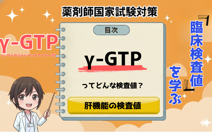 【臨床検査値】健診でγ-GTP(γ-GT)が高いと言われたら？基準値と異常値の原因を薬剤師が解説