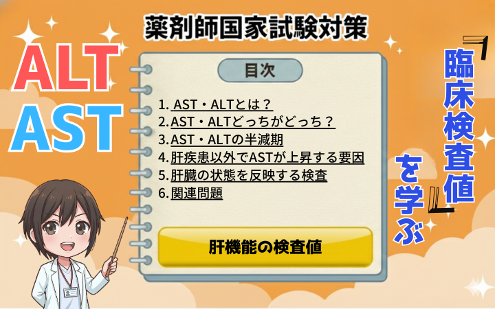 【薬剤師国家試験】AST・ALTの暗記はこれだけ！1分で覚える最強ゴロ合わせ【臨床検査値】