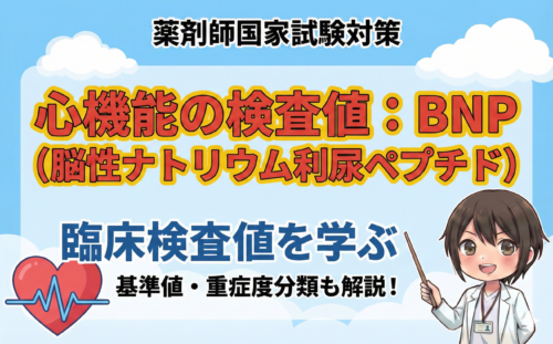 【臨床検査値】心機能検査値のANP・BNP・CNPの違いは？