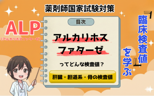 【臨床検査値】ALP（アルカリホスファターゼ）が高い原因は？基準値の変更やアイソザイムを薬剤師が解説