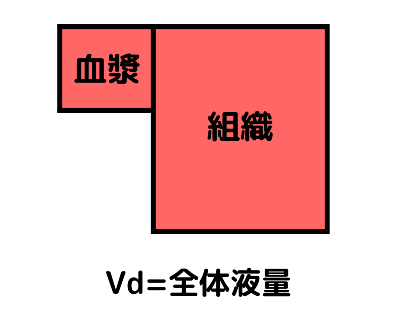 Vd=全体液量の場合のイメージ