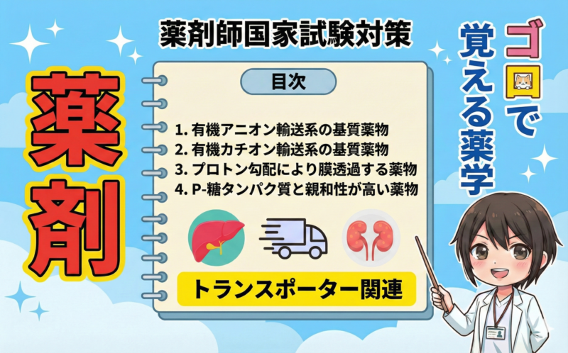 【薬剤師国家試験】トランスポーター関連のゴロ教えます！（ゴロで覚える薬学）