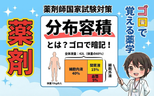 【薬剤師国家試験】代表的な薬の分布容積のゴロ教えます！（ゴロで覚える薬学）