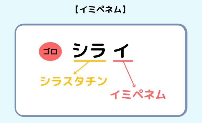 イミペネム シラスタチン ナトリウム BioChimico リーフレット