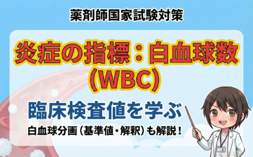 【臨床検査値】白血球数(WBC)・分画の基準値と見方を解説!高い・低い原因は?