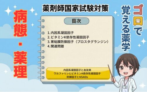【薬剤師国家試験】内因系凝固因子と胃粘膜防御因子（プロスタグランジン）の覚え方！（ゴロで覚える薬学）