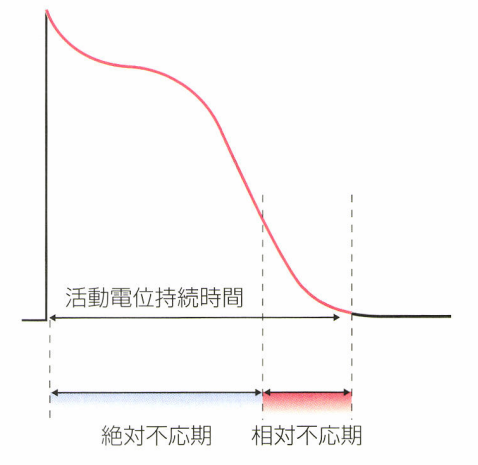 不応期の説明図